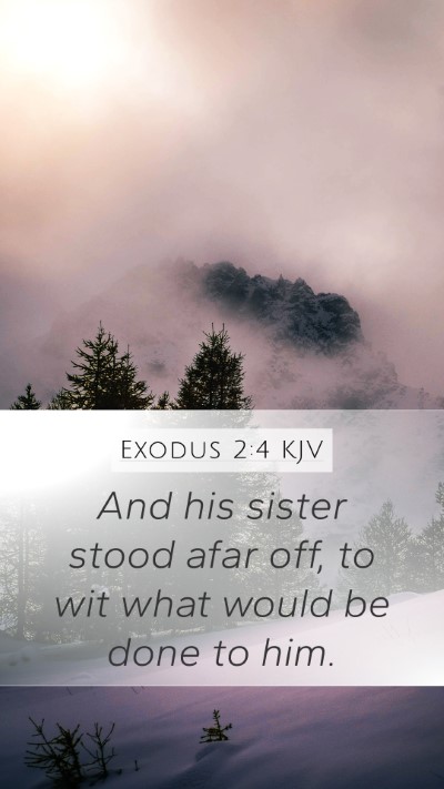 Exodus 2:4 Explained