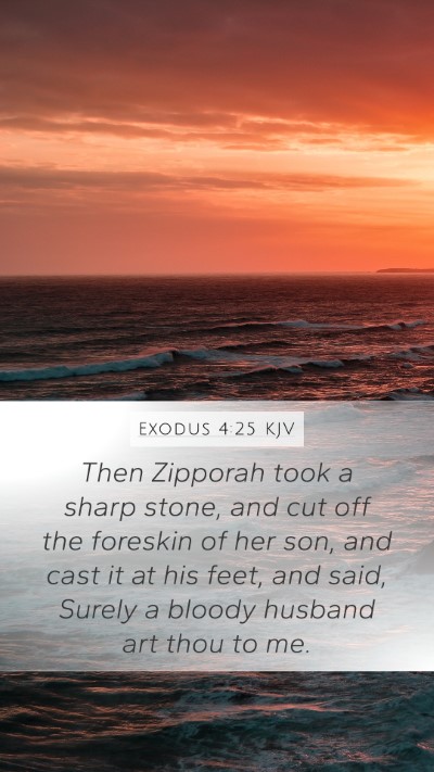 Exodus 4:25 Explained