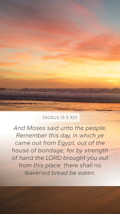 Exodus 13:3 Explained