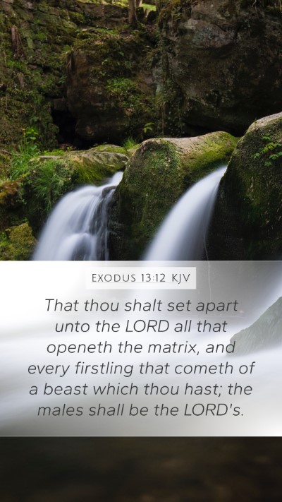 Exodus 13:12 Explained