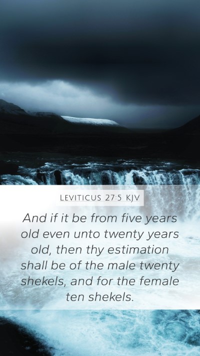 Leviticus 27:5 Explained
