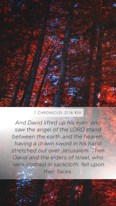 1 Chronicles 21:16 Explained