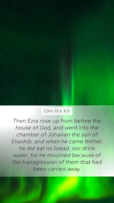 Ezra 10:6 Explained