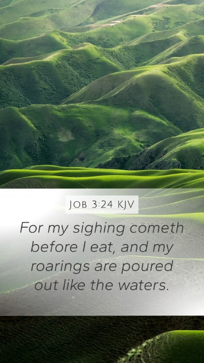 Job 3:24 Explained