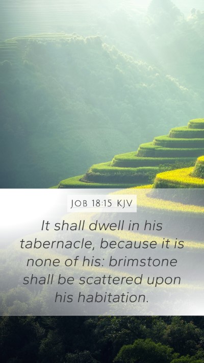Job 18:15 Explained
