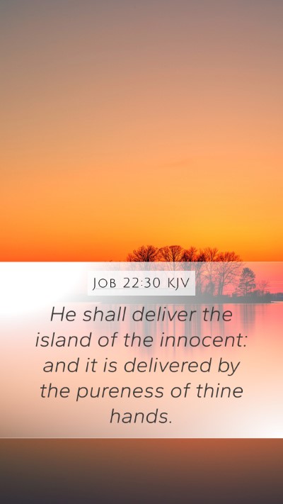 Job 22:30 Explained