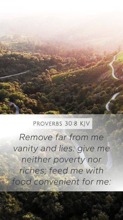 Proverbs 30:8 Explained