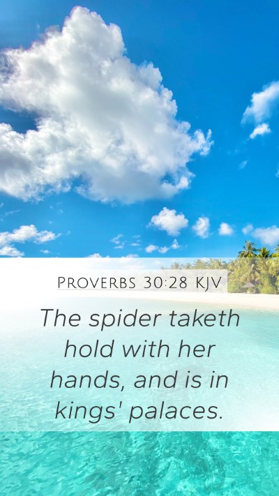 Proverbs 30:28 Explained