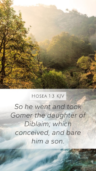 Hosea 1:3 Explained