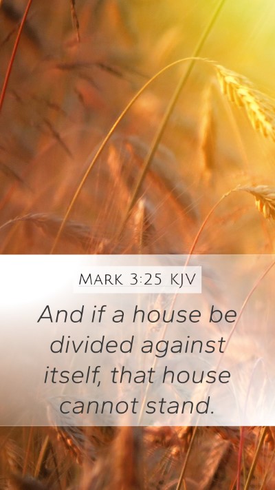 Mark 3:25 Explained