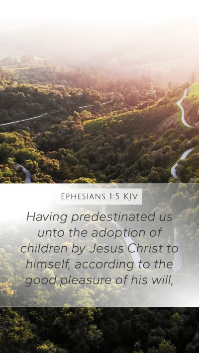 Ephesians 1:5 Explained