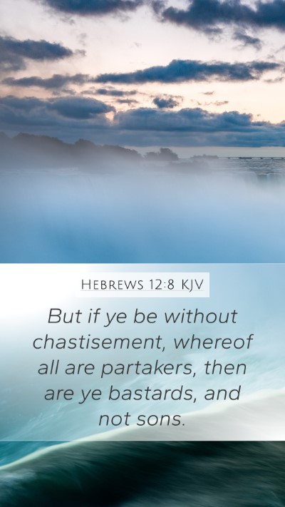 Hebrews 12:8 Explained