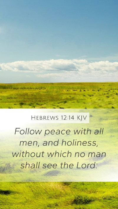Hebrews 12:14 Explained