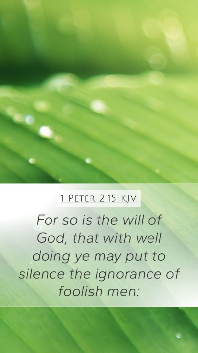 1 Peter 2:15 Explained