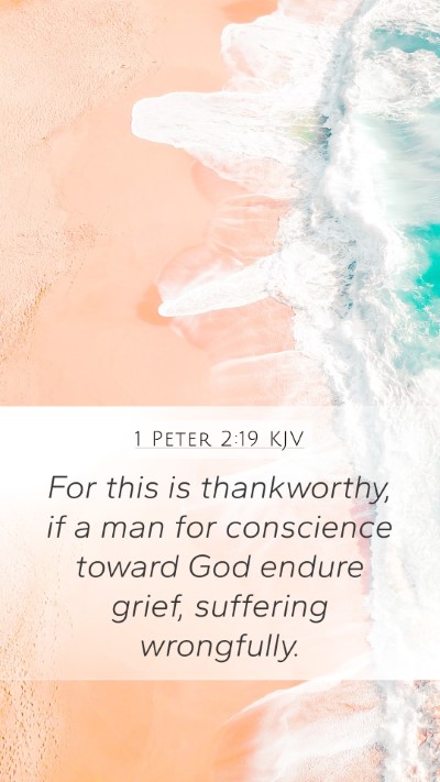 1 Peter 2:19 Explained