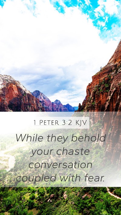 1 Peter 3:2 Explained