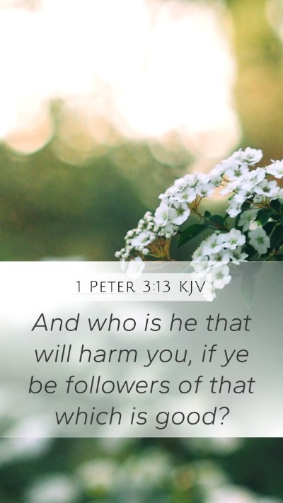 1 Peter 3:13 Explained