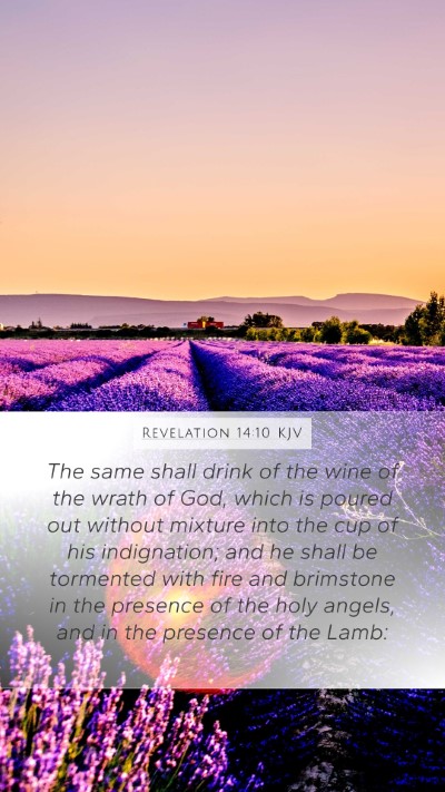 Revelation 14:10 Explained