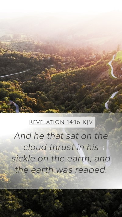 Revelation 14:16 Explained